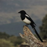 dscn7225