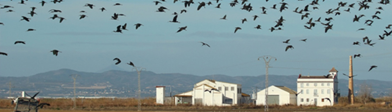 Càdec, Taller de Gestió Ambiental, S.L. – Wildlife Management