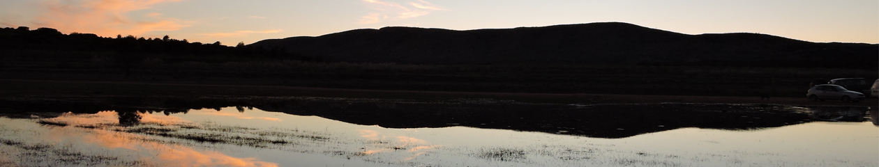 Càdec, Taller de Gestió Ambiental, S.L. – Wildlife Management