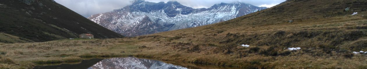 Càdec, Taller de Gestió Ambiental, S.L. – Wildlife Management