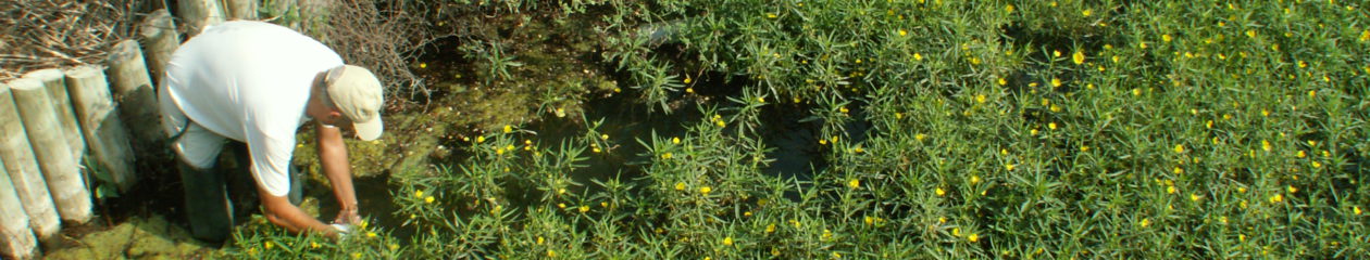 Càdec, Taller de Gestió Ambiental, S.L. – Wildlife Management