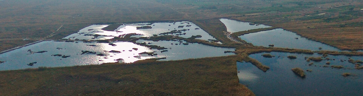 Càdec, Taller de Gestió Ambiental, S.L. – Wildlife Management