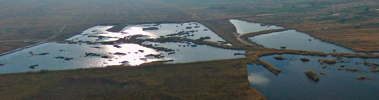 Càdec, Taller de Gestió Ambiental, S.L. – Wildlife Management