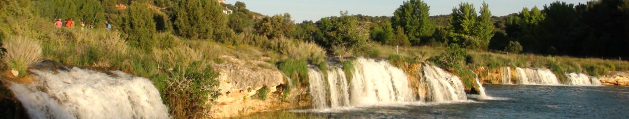 Càdec, Taller de Gestió Ambiental, S.L. – Wildlife Management