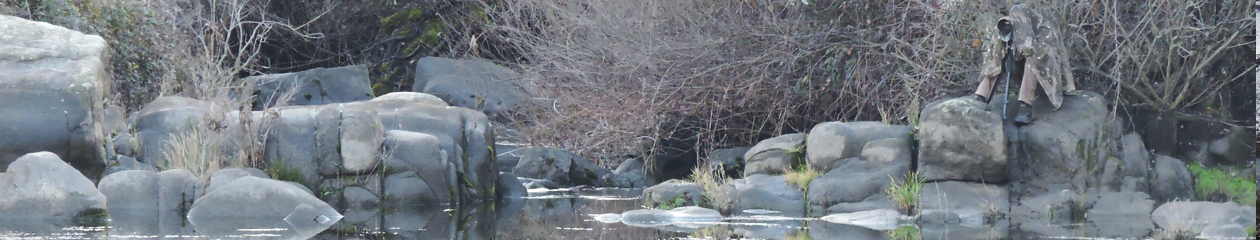 Càdec, Taller de Gestió Ambiental, S.L. – Wildlife Management