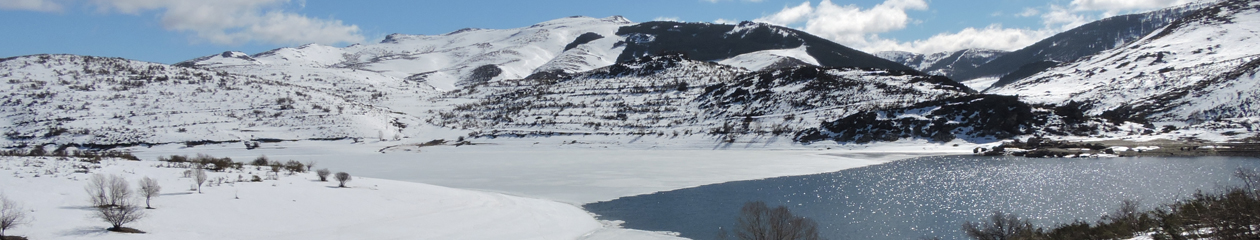 Càdec, Taller de Gestió Ambiental, S.L. – Wildlife Management